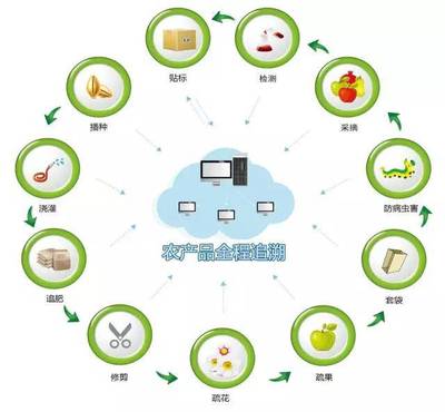真農觀察 農產品溯源系統，品牌管理的基石與未來